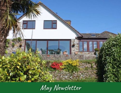 Visit Cornwall for coastal charm and timeless adventure!