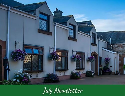 Forests & Fresh Air – Your B&B Escape Awaits!